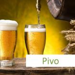 Kategorija Pivo